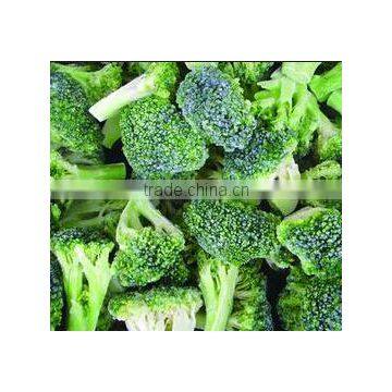 IQF broccoli /frozen broccoli