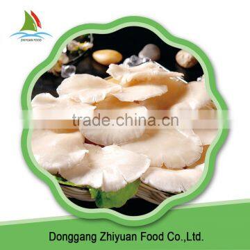 Fresh King Oyster Mushroom Spawn for Sale