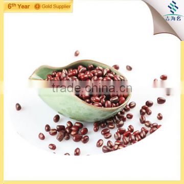 high quality red beans small size bean 50kg/pp bag