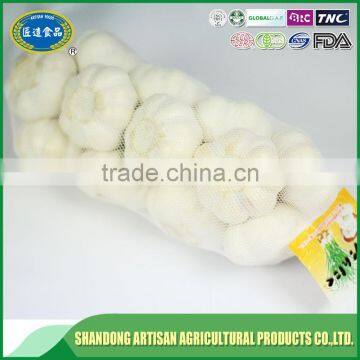 Fresh normal white garlic pure white garlic china supplier