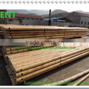 ZENT-160 Dry bamboo poles with hole