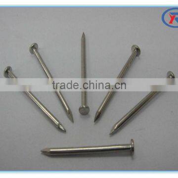 Polished or Pure Common Iron Nail Made in China photo-4