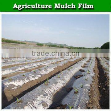 Agriculture Perforated Plastic Nonwoven Mulch Film for Sale photo-4