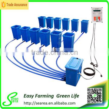 Hydroponics system for tomato planting