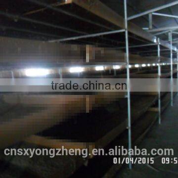 Natural Balance Pet Food Supplies Mealworms photo-6