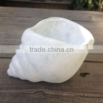 2016 new design conch shape cement fleshy flower pots