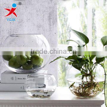 Transparent round /sitting room/aquarium/meat plants produced the ecological bottle container/fishnet