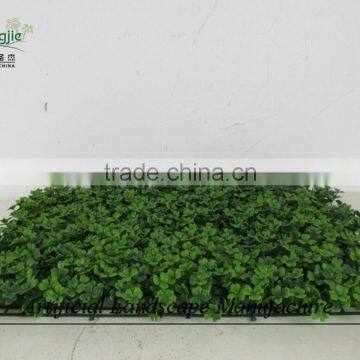 Artificial Boxwood Carpet ,green Wall Hedge Decoration