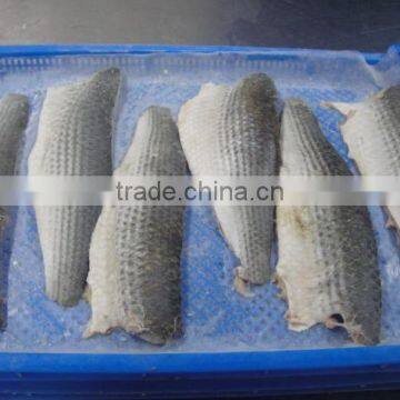 Land Frozen Grey Mullet Fillet With Size IQF Processing photo-2