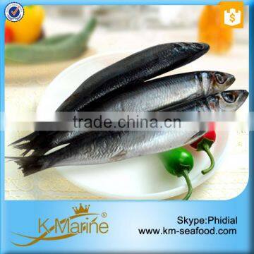 China Export Delicious Wholesale Sardine