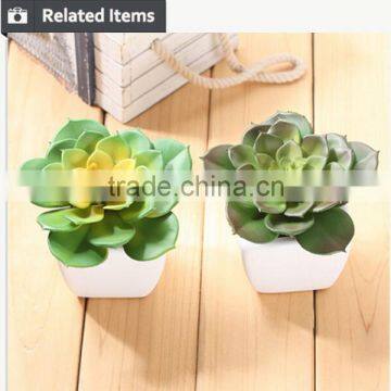 Factory Hot Sale Artificial Succulents Plants Mini Artificial Succulents photo-6