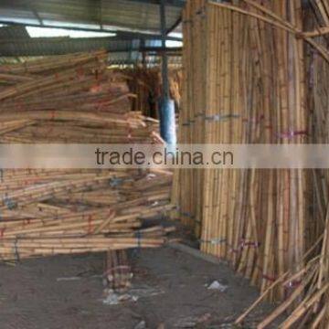 Malaysia rattan raw material stock