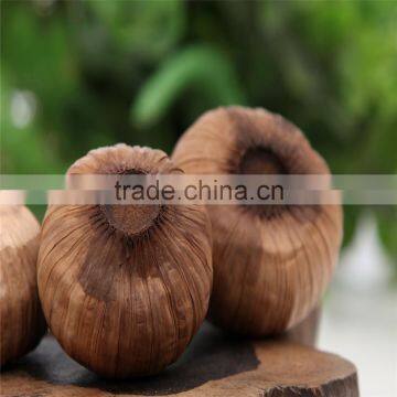 2016 Health Delicious Food And100% Fermented Solo Blackgarlic--HC Company photo-3