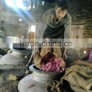 High Quality Natural Rose Oils/Indian Rose photo-3