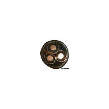 Stranded and Steel-Reinforced Aluminum Conductor
