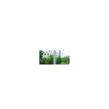 High quality welded wire mesh(Factory)