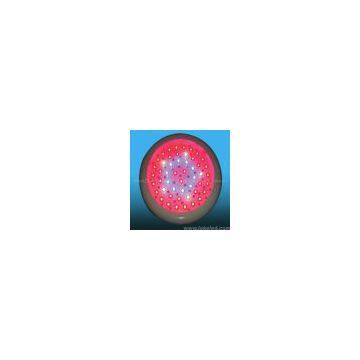LED grow lamp