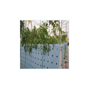 hydroponic vegetables eco-friendly use breathable healthy seeding planting foam