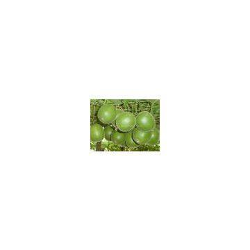 Luo Han Guo  extract