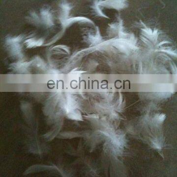 2-4cm Washed White Duck Down Feather