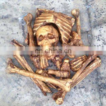 Halloween Skeleton Bones in a Net Bag, Halloween Mummification Bag of Bones