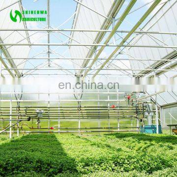 Tomato Growing Cheap Vegetable Greenhouse For Agriculture