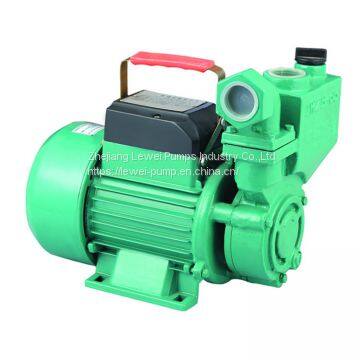 PW250A Self-priming Pump photo-3