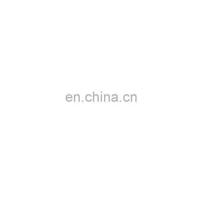 Accessories Auto 10311035 Rear Stripe for ROEWE RX3
