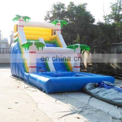 30ft Winter or summer outdoor inflatable water slides for children