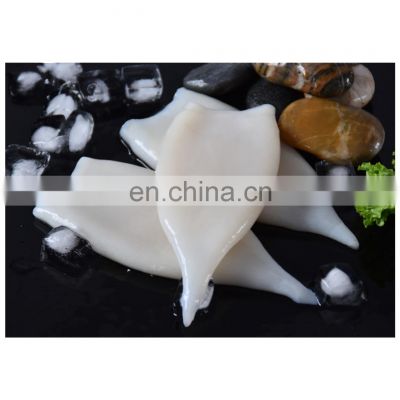 Good quality frozen illex squid tube skinless tip on