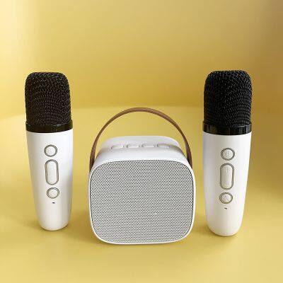 New BT Speaker Outdoor Portable Household KTV Wireless Karaoke Singing Speaker with Double Mic