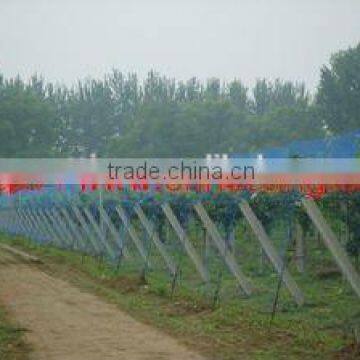 HDPE anti-insect net