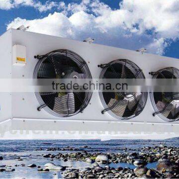 D series Evaporative Air Cooler Used for Food Processing Cold Room