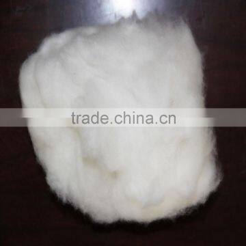 Dehaired Cashmere Fiber White Colour 26mm-38mm
