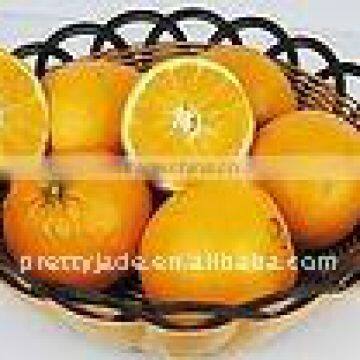 Sell 2014 fresh Navel Orange