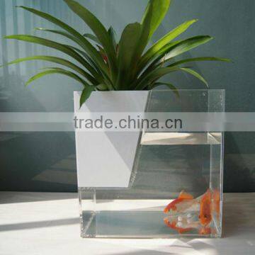 2013 QCY-Y-F023 elegant and high quality table glass aquarium fish tank