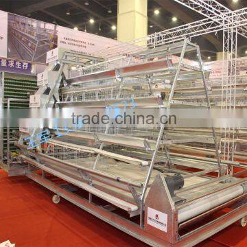 belt conveyor system used for Philippines chicken house