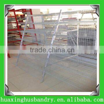 Henan Huaxing quail farming