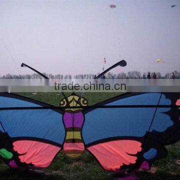 beautiful butterfly kite