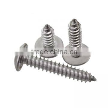 Stainless Steel Cross Flat Head Tapping Screw Thumb Head Tapping Screw photo-3