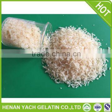 Hot selling instant gelatin powder with great price