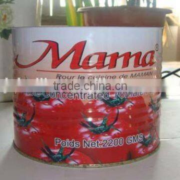 delicious health food tomato ketchup,export Africa,china factory