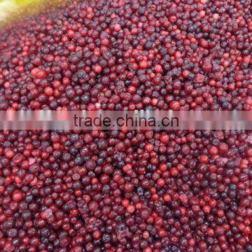 Frozen IQF Lingonberry