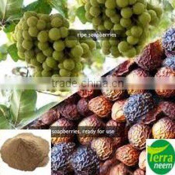 Pure and Natural Soapnut Powder