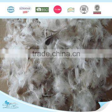 Duck Feather For Sale