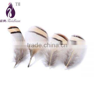 pheasant feathers for jewelry accesory,gold chicken feathers