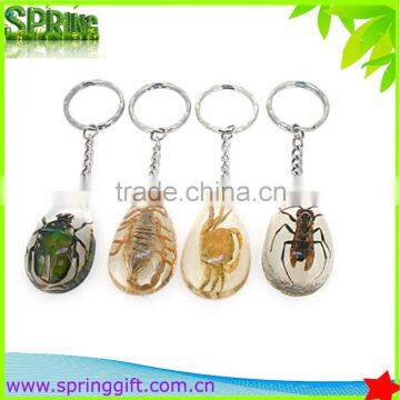 Real Insects Key Ring, Animial Specimen Sample Key Ring , Butterflies, Sea Life Amber Fashion Jewelry Key Ring photo-4