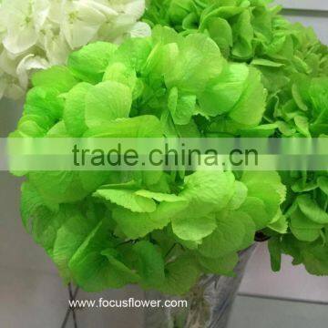 Organic Material Wholesale Preserved Flower Pink Hydrangea Flower With Everlasting Love