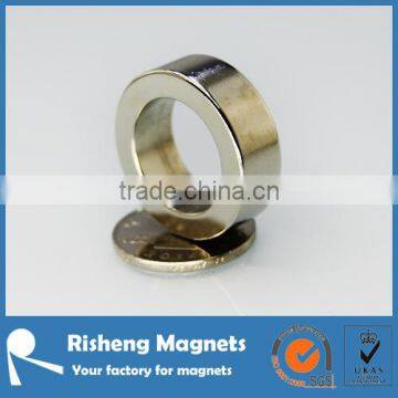 Neodymium Magnetic Radially Magnet Ring