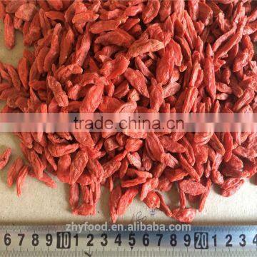 Dried Organic Goji Berry 180grains/50g